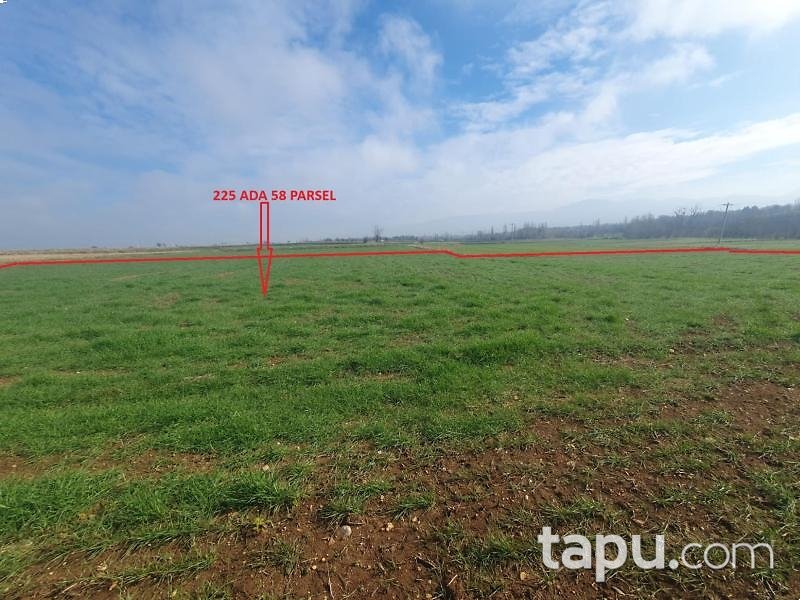 Uşak Sivaslı'da 2.371 m2 Tarla (AS-01311)