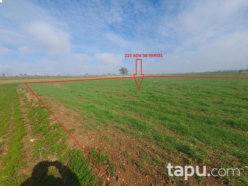 Uşak Sivaslı'da 2.371 m2 Tarla (AS-01311)