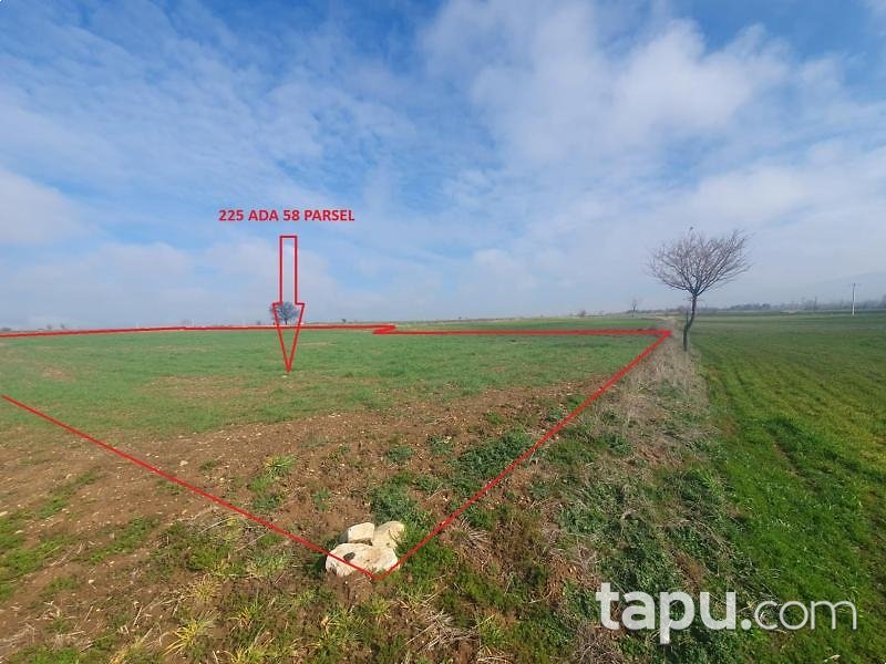 Uşak Sivaslı'da 2.371 m2 Tarla (AS-01311)