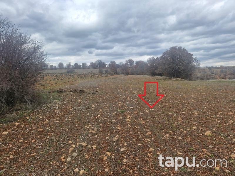 Uşak Karahallı Yeni Mahallesi'nde 1.984 m2 Tarla (AS-02265)