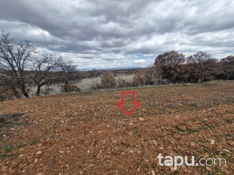 Uşak Karahallı Yeni Mahallesi'nde 1.984 m2 Tarla (AS-02265)