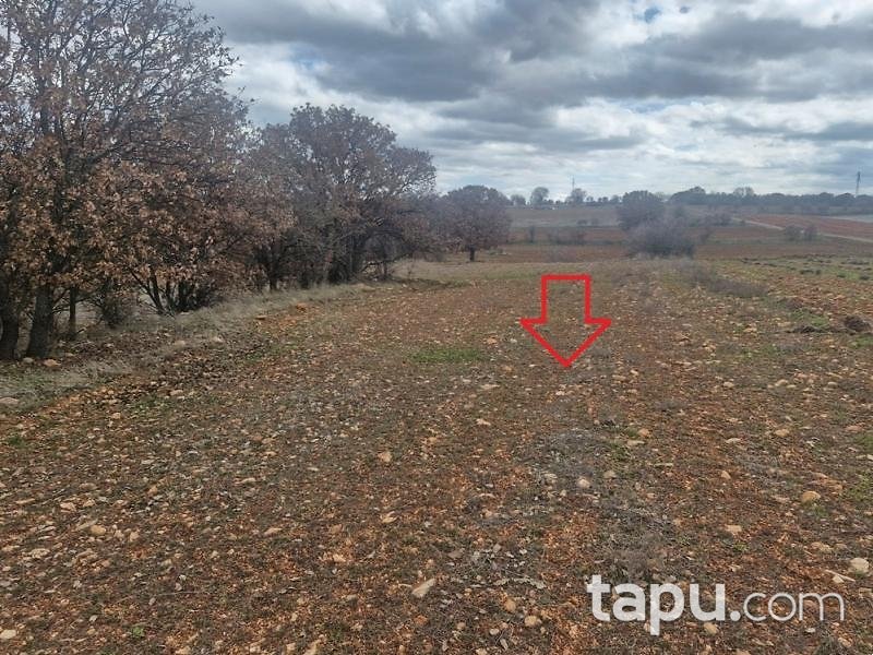 Uşak Karahallı Yeni Mahallesi'nde 1.984 m2 Tarla (AS-02265)