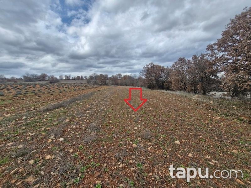Uşak Karahallı Yeni Mahallesi'nde 1.984 m2 Tarla (AS-02265)