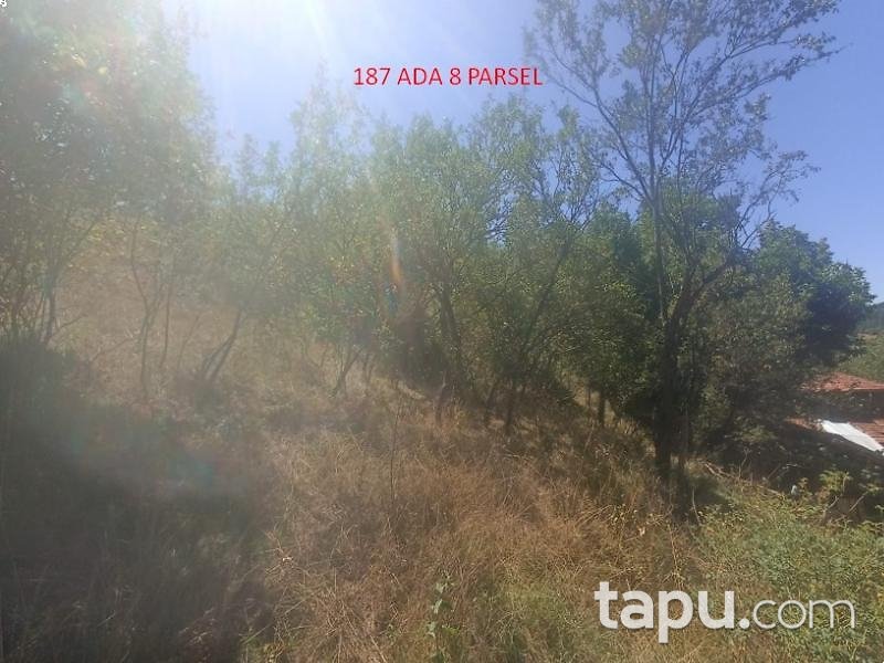Kastamonu Akçakese'de 144 m2 Arsa (BS-00104)