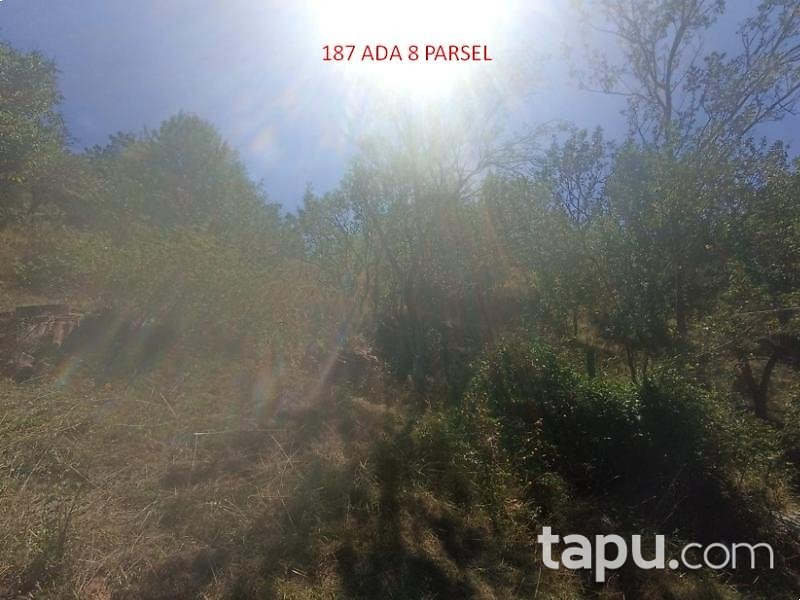 Kastamonu Akçakese'de 144 m2 Arsa (BS-00104)