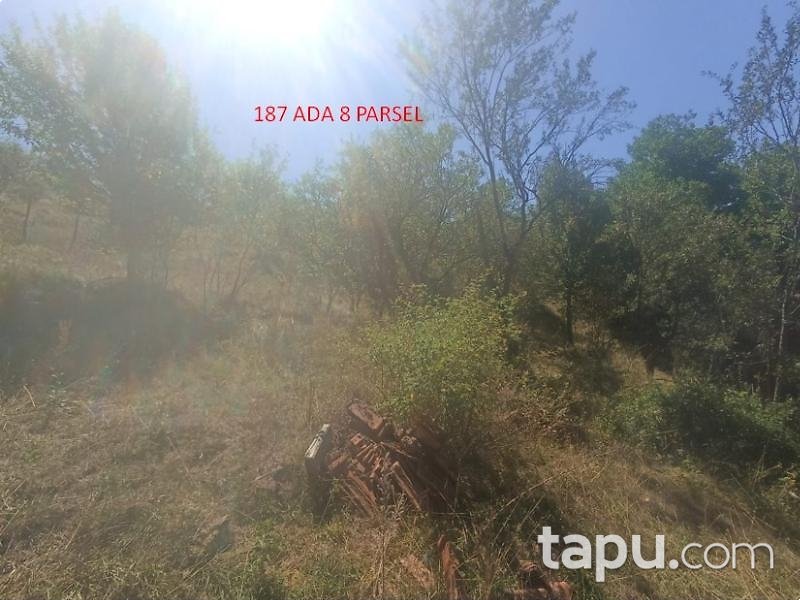 Kastamonu Akçakese'de 144 m2 Arsa (BS-00104)