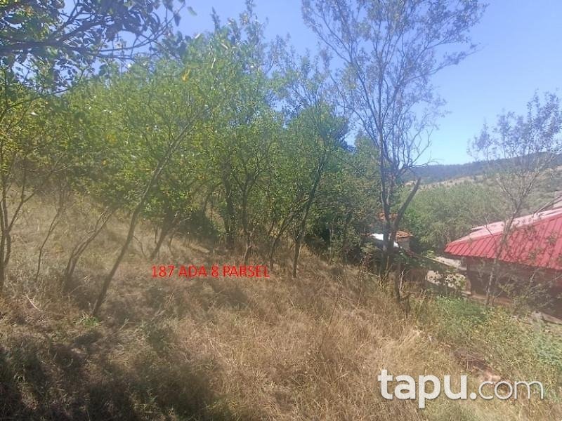Kastamonu Akçakese'de 144 m2 Arsa (BS-00104)