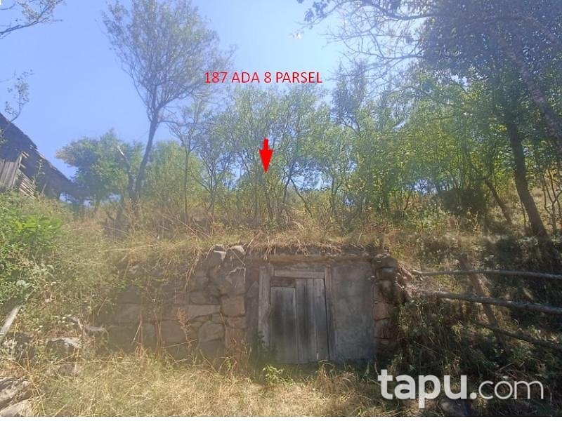 Kastamonu Akçakese'de 144 m2 Arsa (BS-00104)