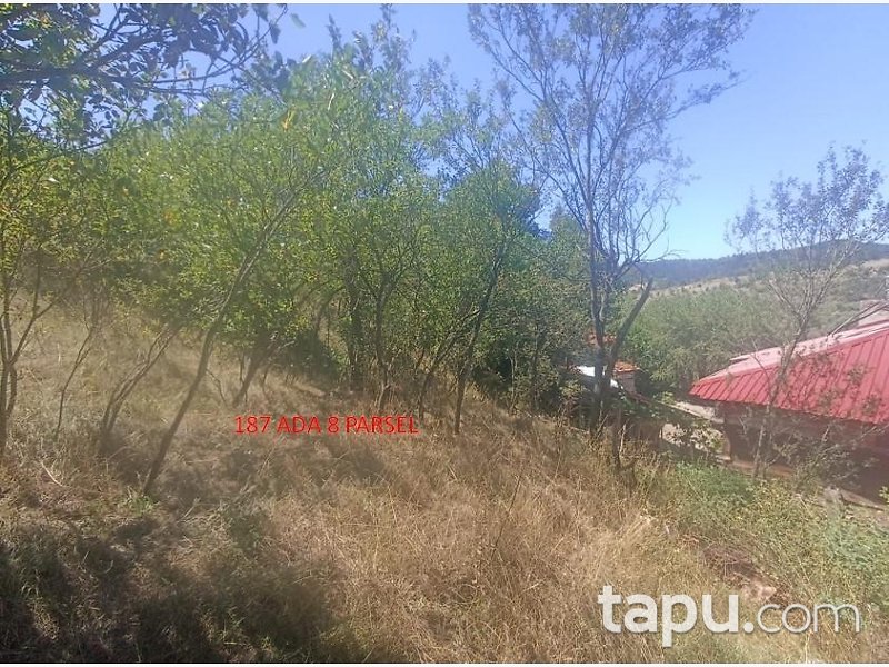 Kastamonu Akçakese'de 144 m2 Arsa (BS-00104)