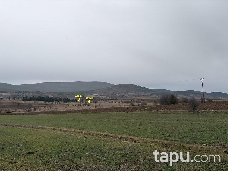 Kastamonu Taşköprü Yeniler'de 13 Dönüm Tarla (AS-00605)
