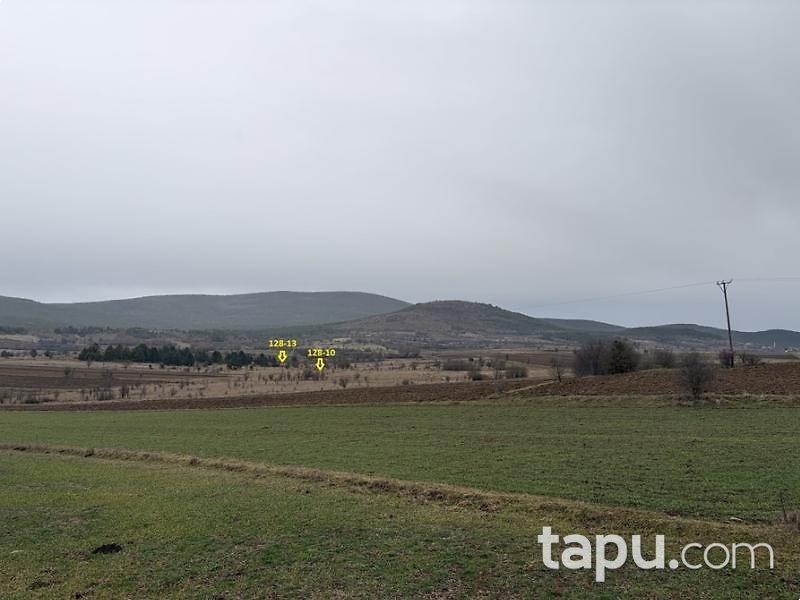 Kastamonu Taşköprü Yeniler'de Hisseli 6 Adet Tarla (AS-02431)