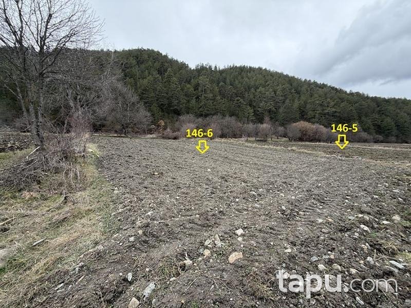 Kastamonu Taşköprü Yeniler'de Hisseli 6 Adet Tarla (AS-02431)
