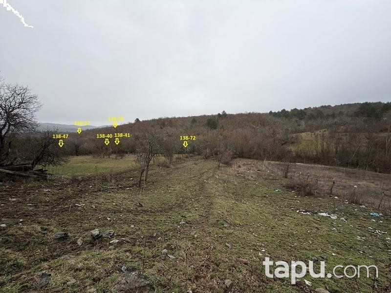 Kastamonu Taşköprü Yeniler'de Hisseli 6 Adet Tarla (AS-02431)