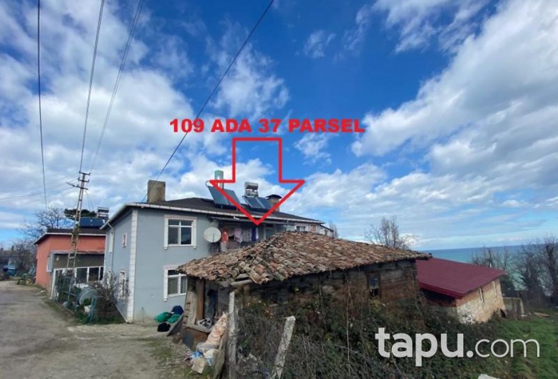 Sinop Gerze Belören'de Hisseli 7 Adet Arazi(BS-00442)
