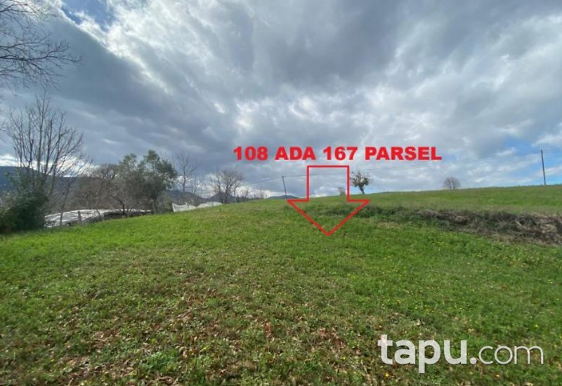 Sinop Gerze Belören'de Hisseli 7 Adet Arazi(BS-00442)