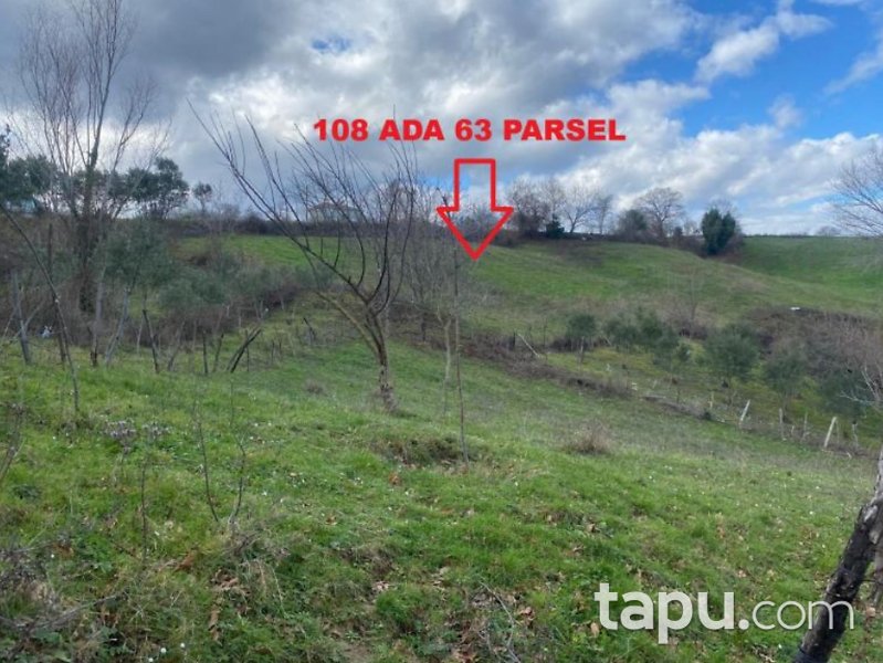 Sinop Gerze Belören'de Hisseli 7 Adet Arazi(BS-00442)
