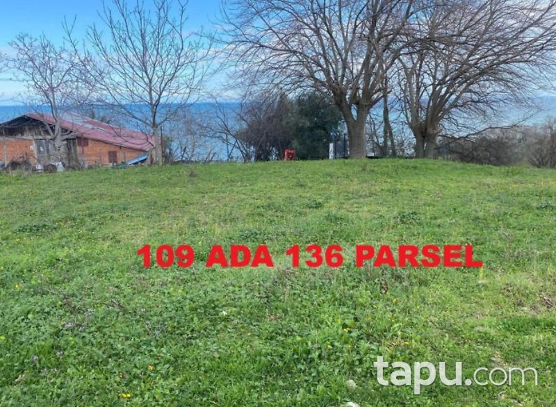 Sinop Gerze Belören'de Hisseli 7 Adet Arazi(BS-00442)