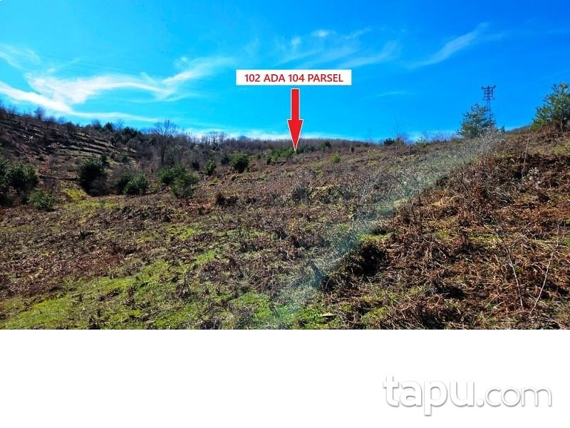 Zonguldak Devrek Tabaklar'da Hisseli 7 Adet Tarla (AS-02510)