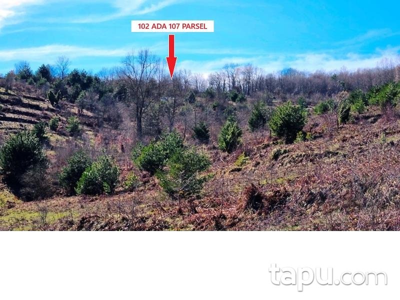 Zonguldak Devrek Tabaklar'da Hisseli 7 Adet Tarla (AS-02510)
