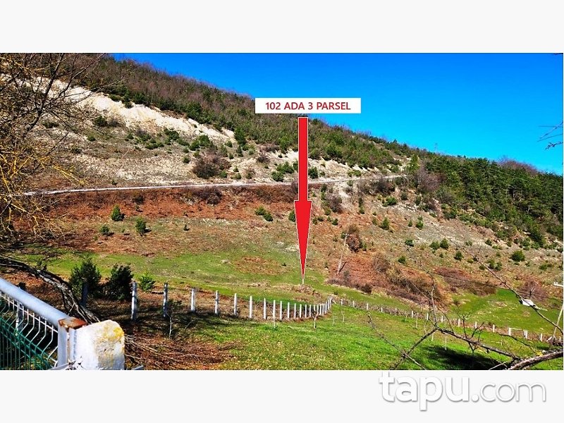 Zonguldak Devrek Tabaklar'da Hisseli 7 Adet Tarla (AS-02510)