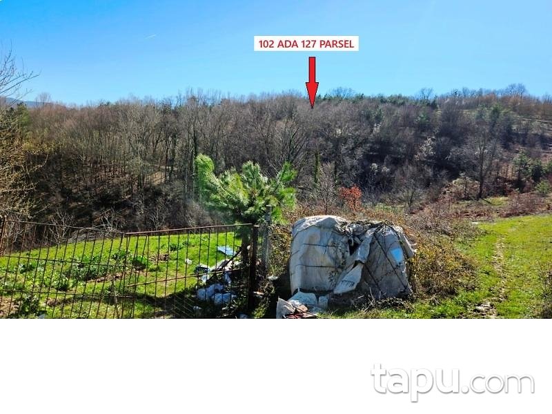 Zonguldak Devrek Tabaklar'da Hisseli 7 Adet Tarla (AS-02510)