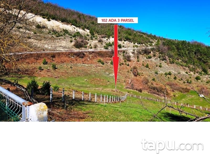 Zonguldak Devrek Tabaklar'da Hisseli 7 Adet Tarla (AS-02510)