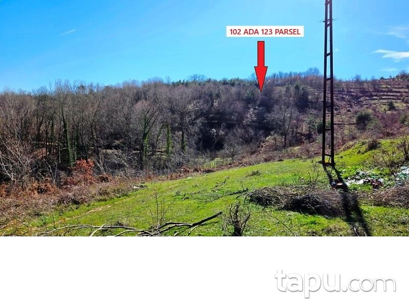 Zonguldak Devrek Tabaklar'da Hisseli 7 Adet Tarla (AS-02510)