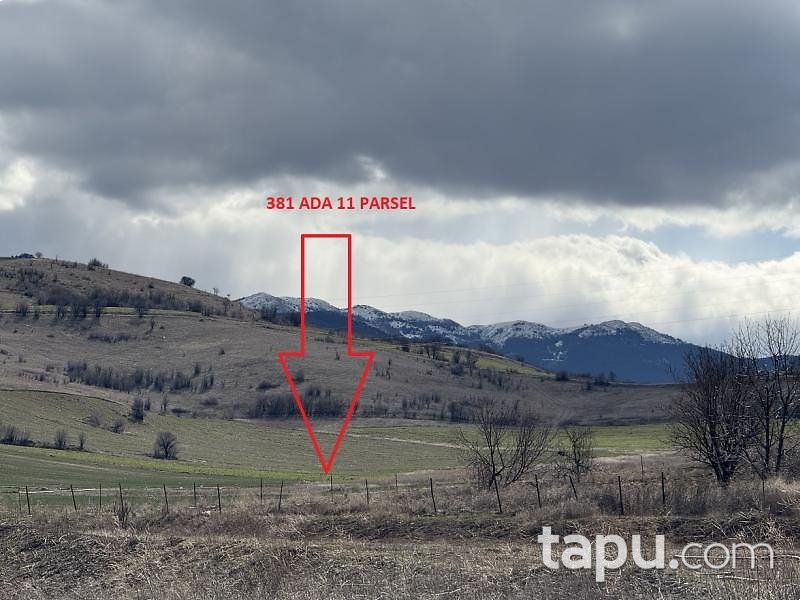 Yozgat Aydıncık Kazankaya'da Hisseli 11 Adet Tarla (AS-00660)