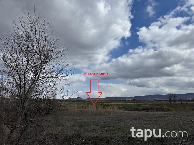 Yozgat Aydıncık Kazankaya'da Hisseli 11 Adet Tarla (AS-00660)