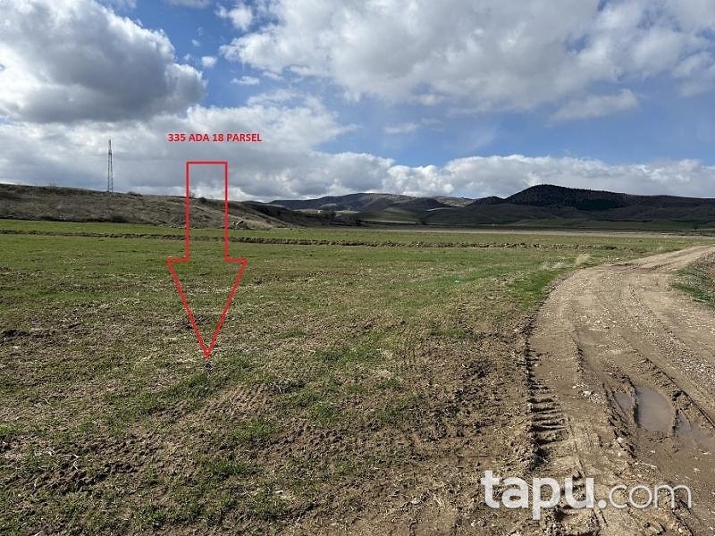 Yozgat Aydıncık Kazankaya'da Hisseli 11 Adet Tarla (AS-00660)