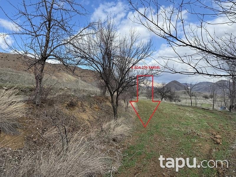 Yozgat Aydıncık Kazankaya'da Hisseli 11 Adet Tarla (AS-00660)