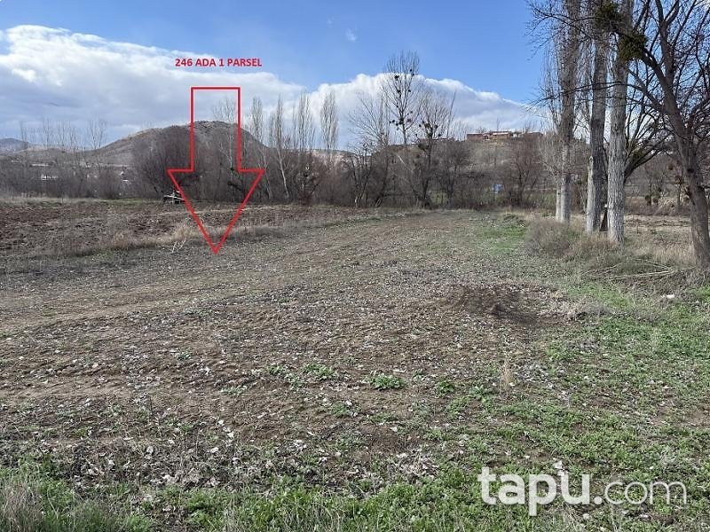 Yozgat Aydıncık Kazankaya'da Hisseli 11 Adet Tarla (AS-00660)