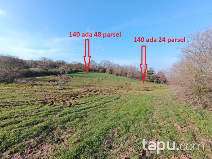 Susurluk Günaydın'da 1.206 m2 Tarla (AS-00996)
