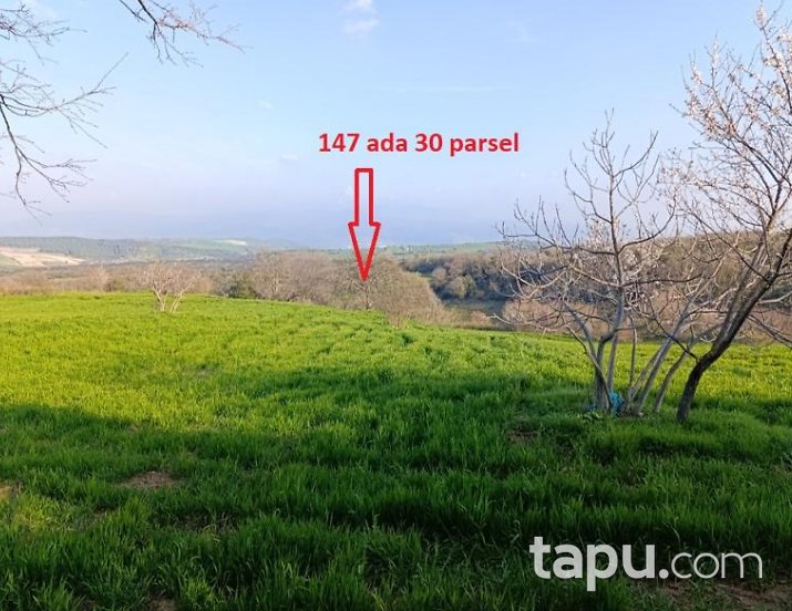 Susurluk Günaydın'da Hisseli 6 Adet Tarla (AS-00999)