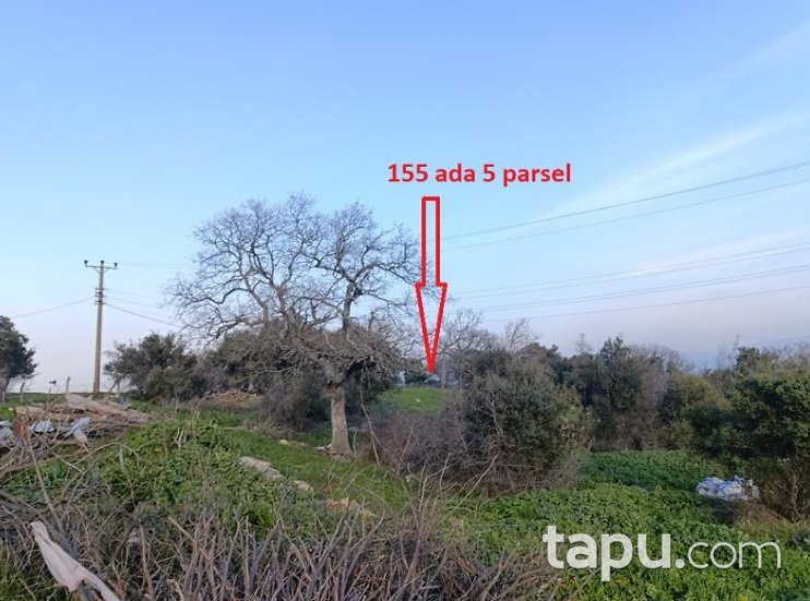 Susurluk Günaydın'da Hisseli 6 Adet Tarla (AS-00999)