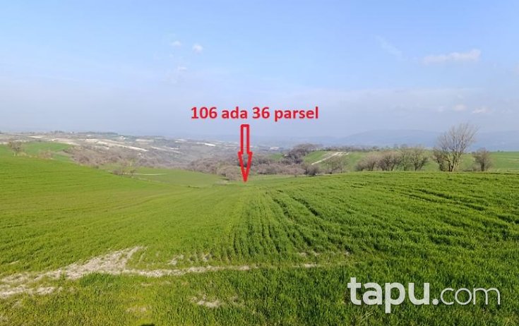 Susurluk Günaydın'da Hisseli 6 Adet Tarla (AS-00999)