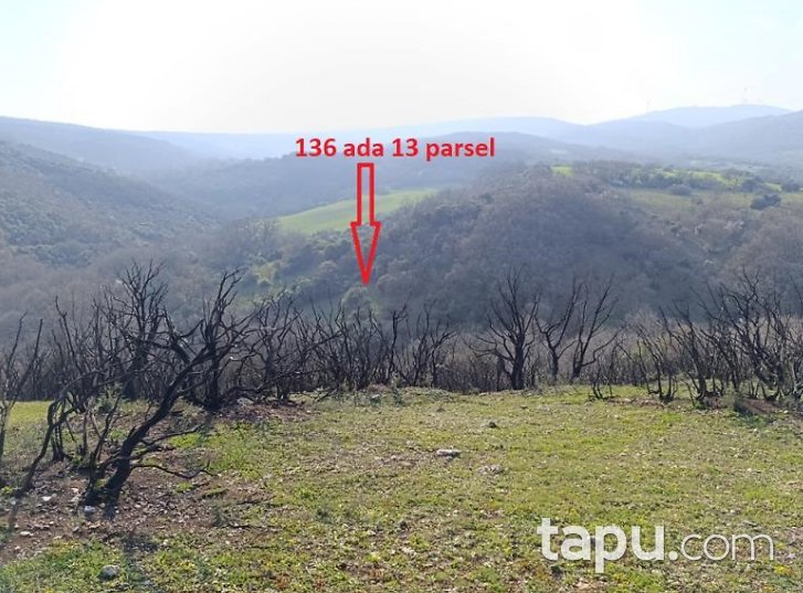 Susurluk Günaydın'da Hisseli 6 Adet Tarla (AS-00999)
