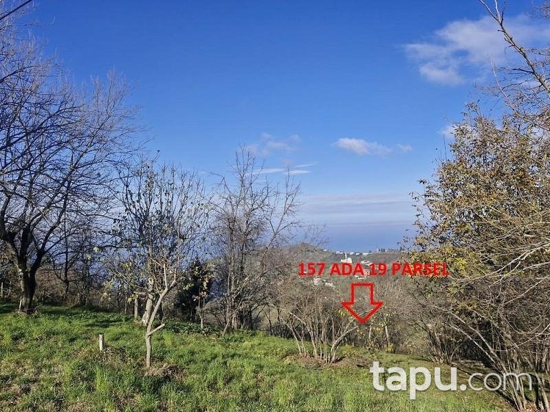 Vakfıkebir Küçükdere'de Hisseli 7 Adet Fındık Bahçesi Ve Tarla (AS-02481)
