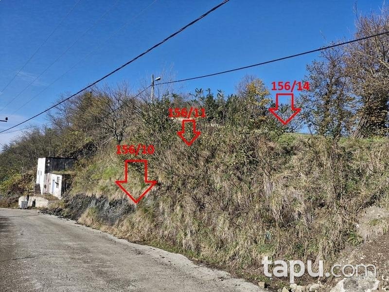 Vakfıkebir Küçükdere'de Hisseli 5 Adet Tarla (AS-02475)