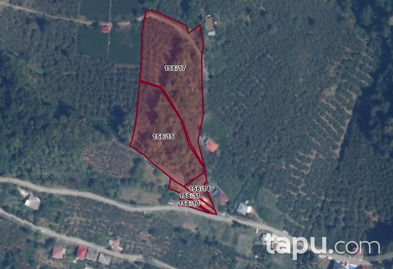 Vakfıkebir Küçükdere'de Hisseli 5 Adet Tarla (AS-02475)