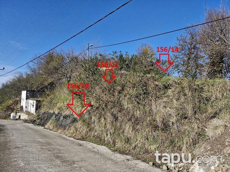 Vakfıkebir Küçükdere'de Hisseli 5 Adet Tarla (AS-02475)