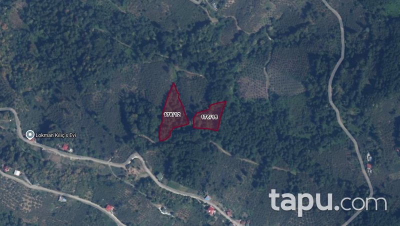 Vakfıkebir Küçükdere'de Hisseli 2 Adet Fındık Bahçesi (AS-02479)