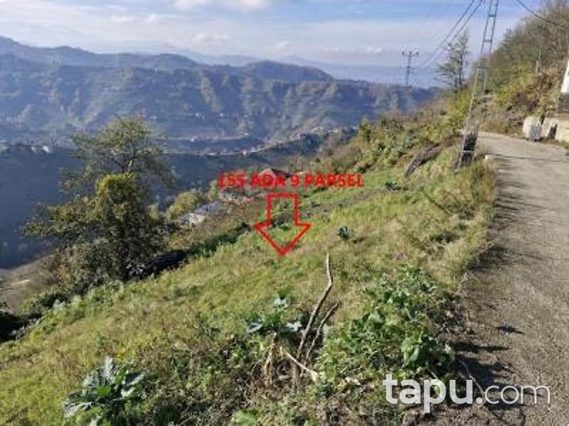 Vakfıkebir Küçükdere'de 3 Adet Tarla (AS-02487)