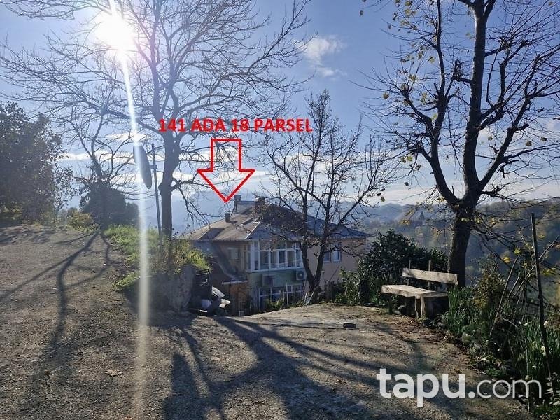 Vakfıkebir Küçükdere'de Hisseli 4 Adet Fındık Bahçesi ve Tarla (AS-02469)