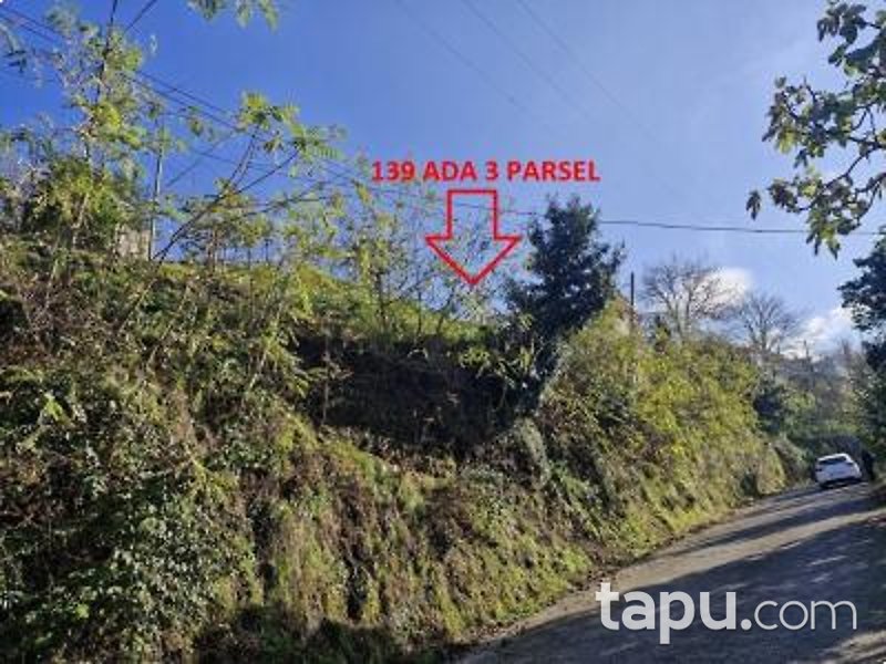 Vakfıkebir Küçükdere'de Hisseli 4 Adet Fındık Bahçesi ve Tarla (AS-02469)