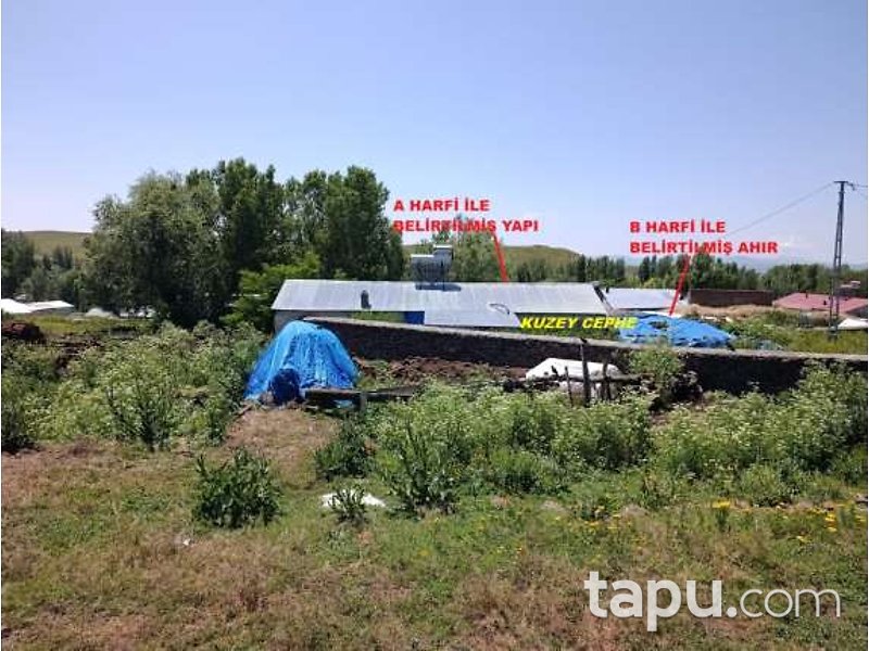 Kars Arpaçay'da Ev Ahır Samanlık Ve Arsa