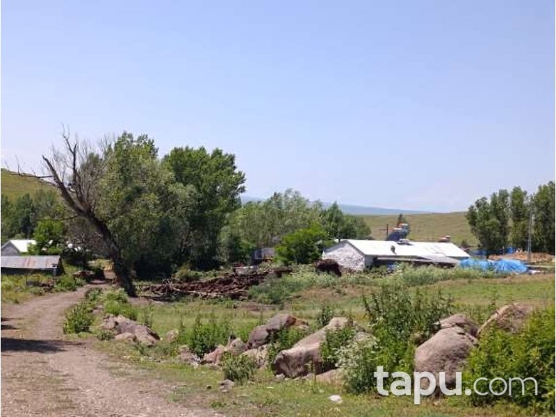 Kars Arpaçay'da Ev Ahır Samanlık Ve Arsa