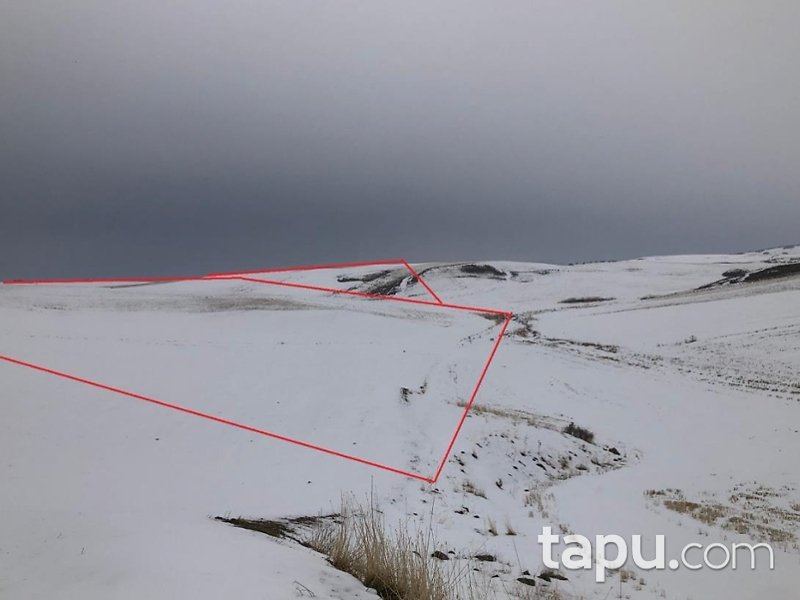 Tunceli Çemişgezek Akçapınar'da Hisseli 2 Dönüm Tarla
