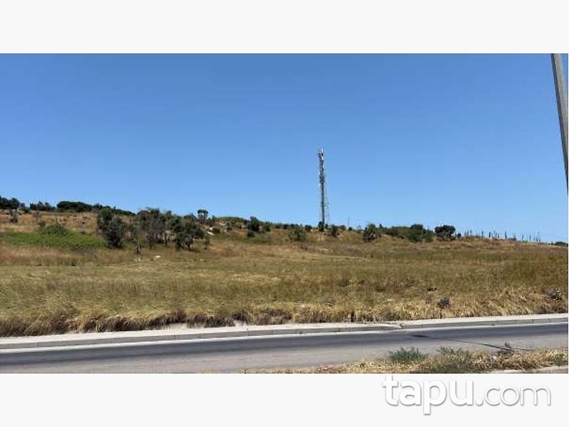 Bandırma Ayyıldız'da Yarı Hisseli 1.908 m2 Tarla