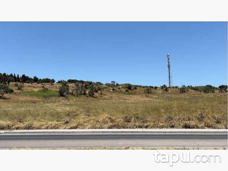Bandırma Ayyıldız'da Yarı Hisseli 1.908 m2 Tarla